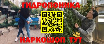 винт Кингисепп